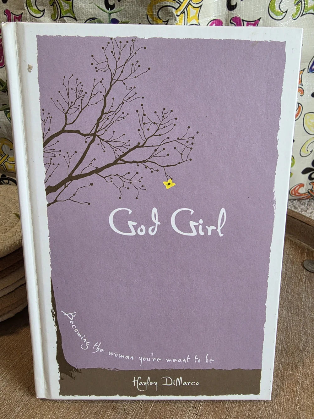 God Girl Hardcover Book - Hayley DiMarco (Revell / Hungry Planet)